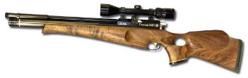 Air Rifle of the Year 2003 ?