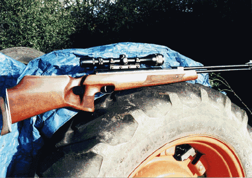 The tuned and re-stocked HW77 in .22 calibre