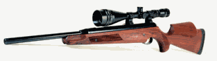 Pro Sport with Walnut stock.