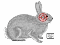 Rabbit target