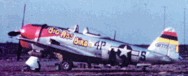 Big Ass Bird - Copyright Howard Clark