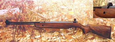 This lovely photo shows the Beeman HW57  - with the pop-up breech inset.